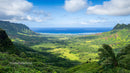 Scenic Overlook of Lush Green Valley and Ocean Horizon