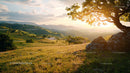 Sunset Over Serene Hills with Tree Silhouette