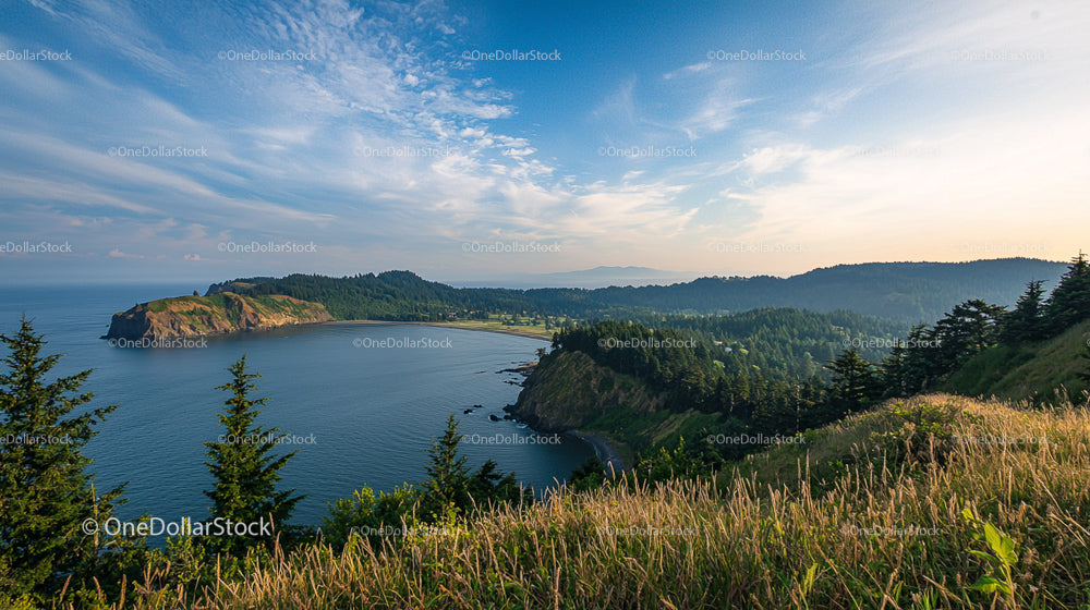 Scenic Coastal Landscape with Ocean Cliffs and Lush Forest