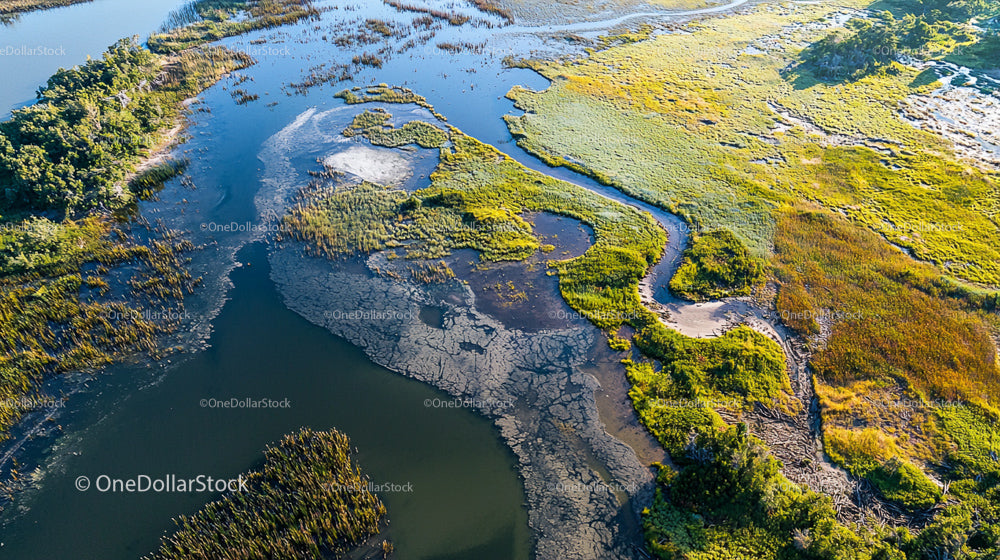 Aerial View of Vibrant Wetlands with Winding River