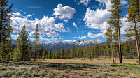 Majestic Mountain Range with Snow-Capped Peaks and Pine Forests