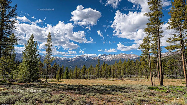 Majestic Mountain Range with Snow-Capped Peaks and Pine Forests