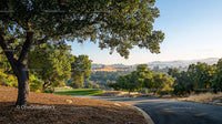 Sunny Countryside with Rolling Hills and Oak Trees