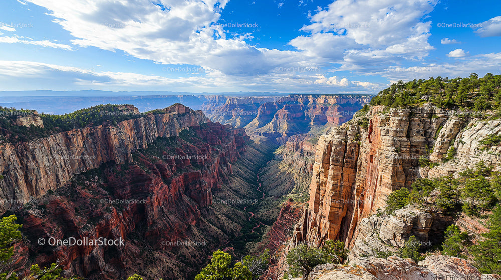 Majestic Grand Canyon with Red Rock Formations and Pine Trees