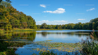 Serene Lake and Lush Forest Under Clear Blue Sky