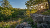 Sunlit Trees and Rocky Terrain in a Serene Forest Setting
