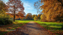Scenic Autumn Pathway Through Vibrant Forest