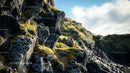 Moss-Covered Rocky Cliff in a Scenic Natural Landscape