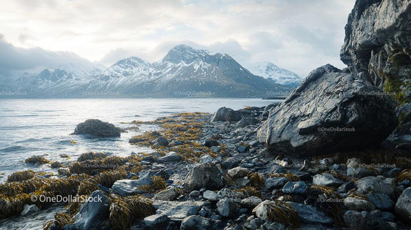 Rocky Coast and Snowcapped Mountains Under Overcast Skies