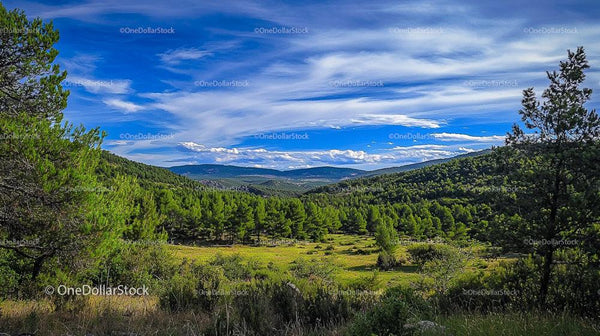 Vibrant Green Landscape with Rolling Hills and Blue Sky