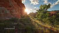 Sunset Over Dramatic Canyon with Lush Greenery