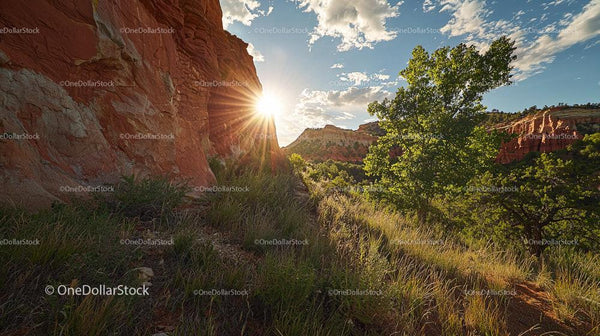 Sunset Over Dramatic Canyon with Lush Greenery