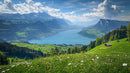 Scenic Alpine Landscape with Lake and Wildflowers