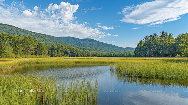 Scenic Landscape with Mountains and Meadow in Summer