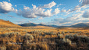 Golden Meadow with Majestic Mountain Backdrop