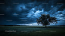 Solitary Tree Under Dramatic Storm Clouds