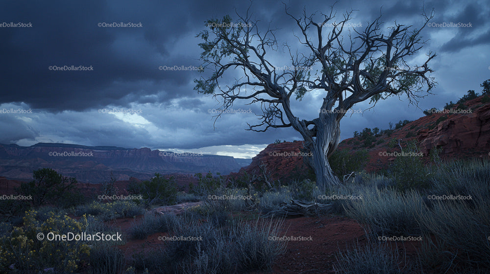 Lonely Tree in Dramatic Desert Landscape at Twilight