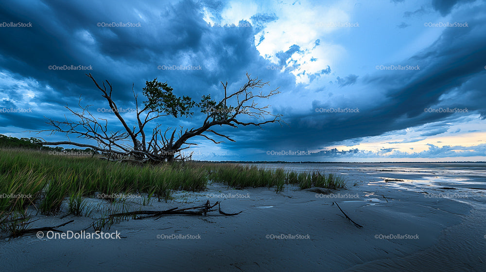 Dramatic Coastal Landscape with Stormy Sky and Lone Tree
