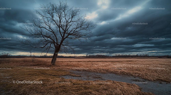 Solitary Tree Under Dramatic Storm Clouds at Dusk
