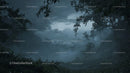 Misty Forest with Dense Foliage and Dramatic Overcast Skies