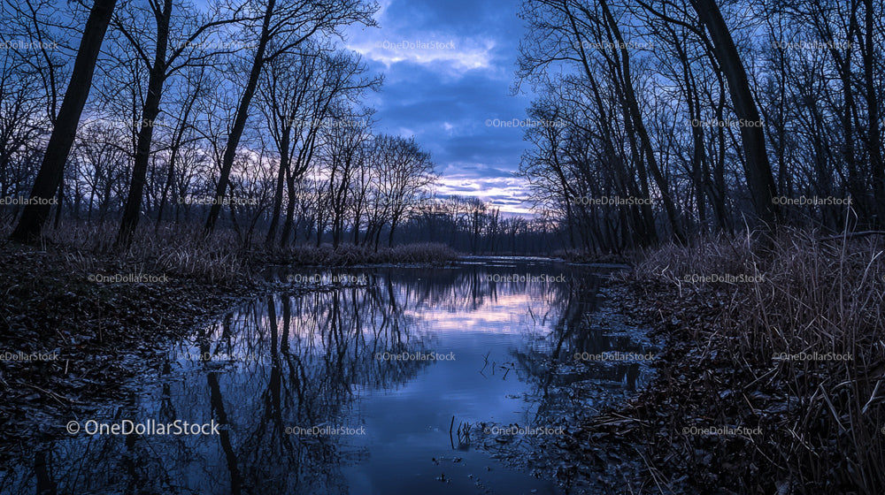 Tranquil Evening by a Reflective Forest Creek