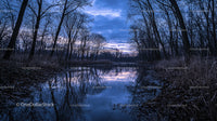 Tranquil Evening by a Reflective Forest Creek