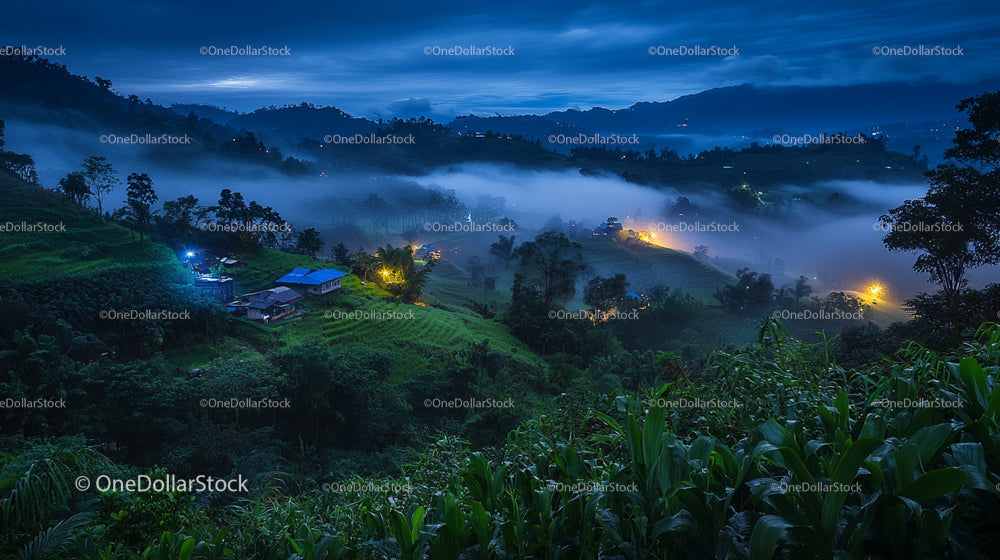 Misty Valley with Evening Lights and Lush Greenery at Twilight