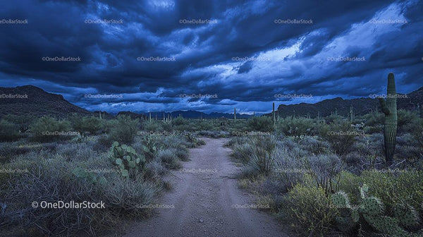 Dramatic Desert Landscape with Saguaro Cacti and Stormy Sky