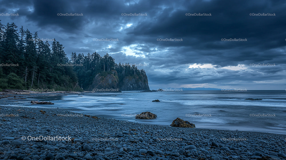 Dramatic Coastal Landscape with Rocky Beach and Pine Forest