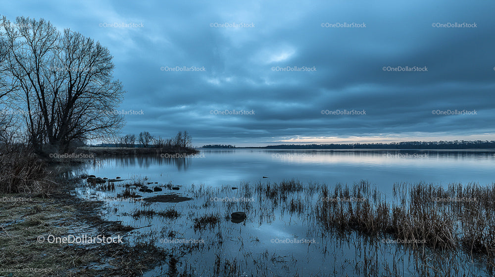 Tranquil Lake with Bare Trees and Overcast Sky Reflection