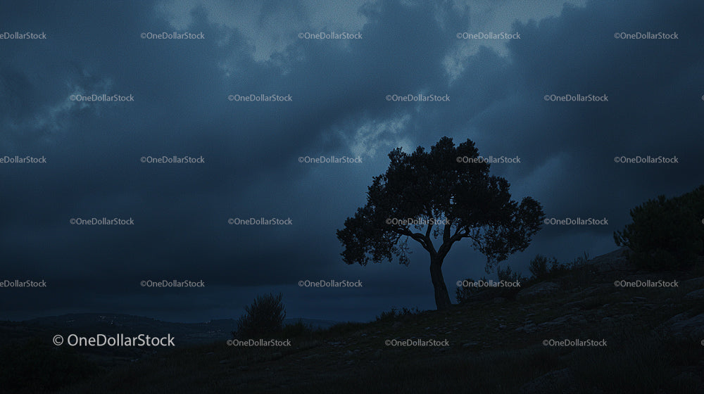 Solitary Tree Against Dramatic Stormy Sky at Twilight
