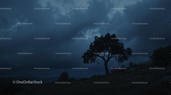 Solitary Tree Against Dramatic Stormy Sky at Twilight