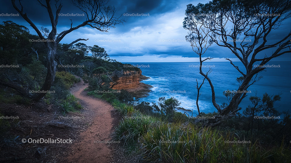 Serene Coastal Path with Dramatic Ocean and Cliffs