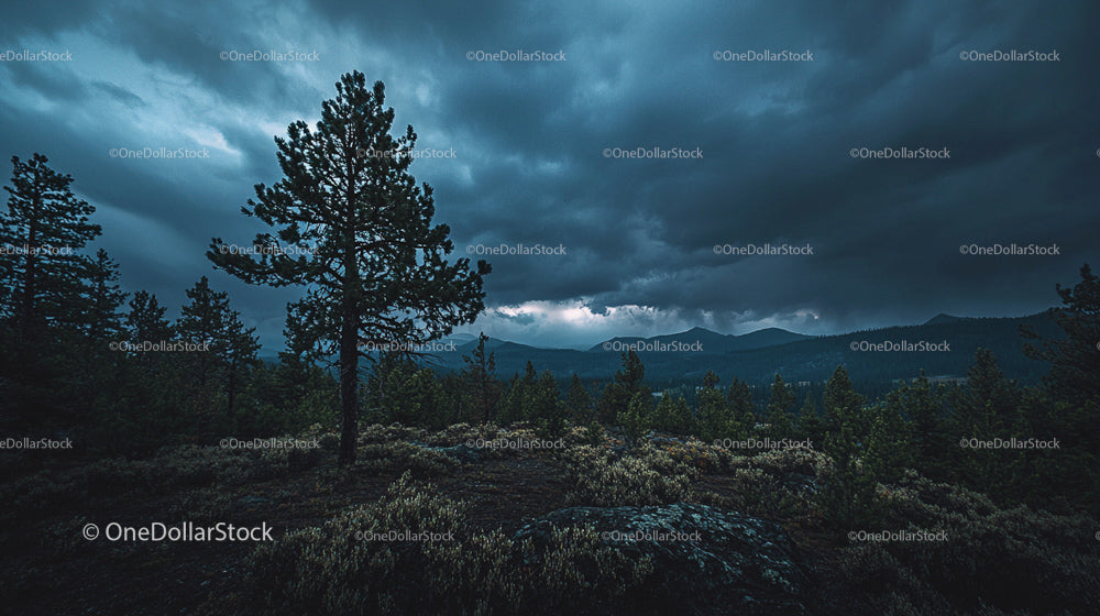 Dramatic Sky Over Forest and Mountain Landscape