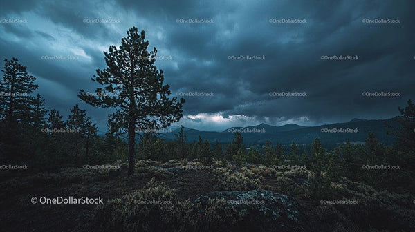 Dramatic Sky Over Forest and Mountain Landscape