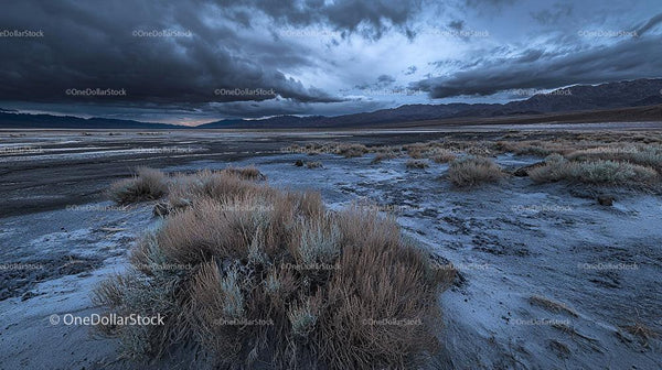 Dramatic Desert Landscape with Stormy Sky and Dry Grass