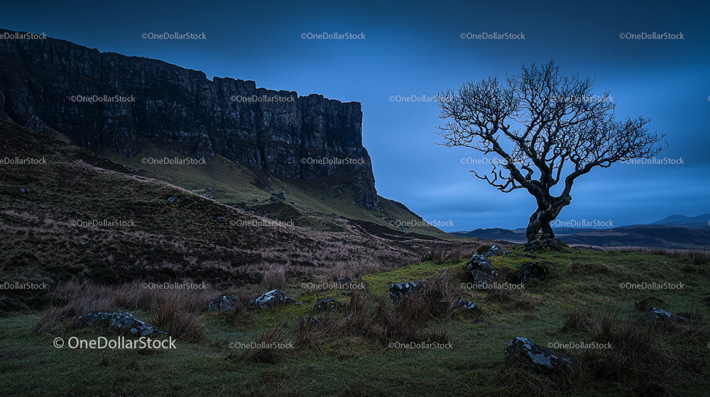 Lone Tree Against Majestic Rocky Cliffs at Twilight