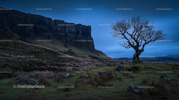 Lone Tree Against Majestic Rocky Cliffs at Twilight