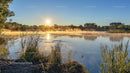 Misty Sunrise Over Calm Lake with Gentle Mist