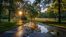 Sunrise in Serene Forest with Reflective Pathway
