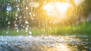 Sunlit Rainfall with Golden Bokeh Effects
