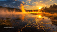 Golden Sunrise Over Misty Hot Springs in Forested Landscape