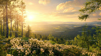Golden Sunset Over Lush Forest and Blooming Flowers