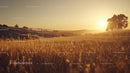Golden Sunrise Over Tranquil Countryside Fields