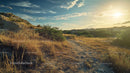 Golden Hour Trail Through Grassy Landscape at Sunset