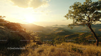 Breathtaking Sunset over Rolling Hills and Silhouetted Tree
