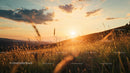 Golden Sunset Over Rolling Hills and Grassy Field