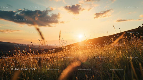 Golden Sunset Over Rolling Hills and Grassy Field
