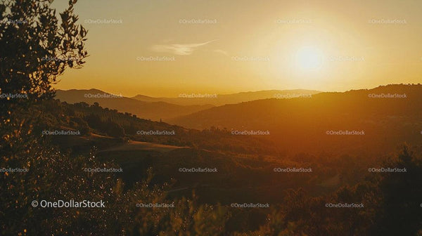Golden Sunset Over Tranquil Rolling Hills