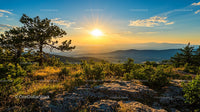 Golden Sunrise Over Mountain Landscape with Pine Trees